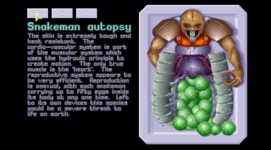 2815105-8263060316-2-xco